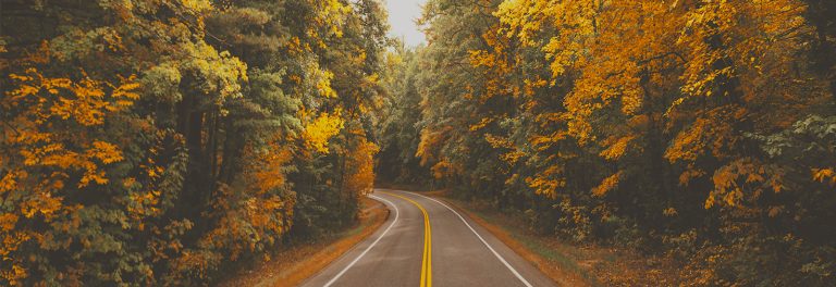 AAA: Nearly 82 Million Americans Projected to Travel over Thanksgiving  