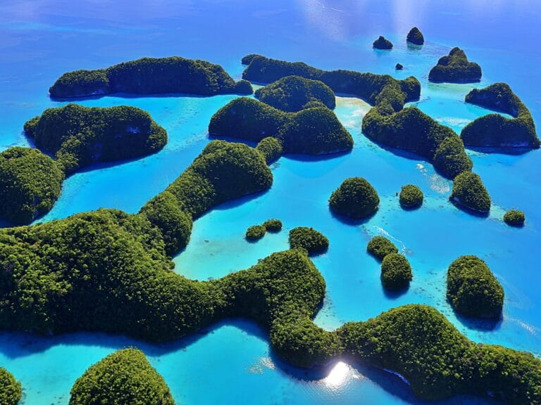 AI Set to Shape the Future of Travel & Tourism, Says WTTC