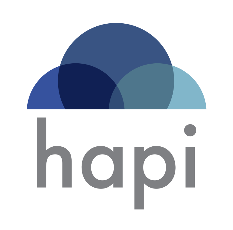 Hapi Appoints Jeff Bzdawka to Chief Executive Officer