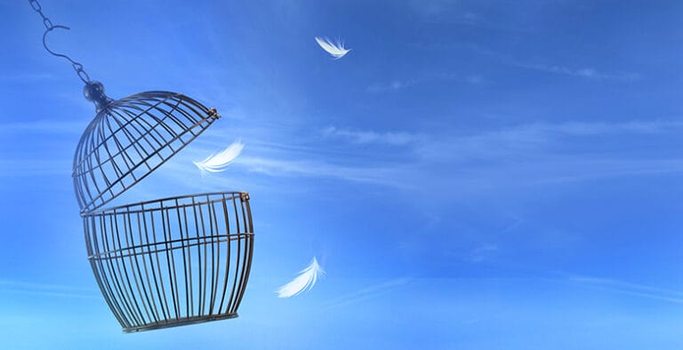 IDeaS Expands Innovative Pricing Approach with Independent Products