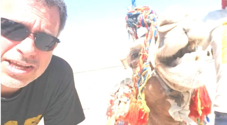 Flashback to 2017! The Camel Talk Podcast