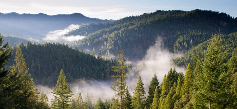 Xanterra's 2017 Sustainability Report